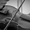 弦楽器の楽器法⑥：弦楽器の演奏法とアーティキュレーションを理解しよう！後編