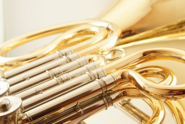 金管楽器の楽器法①：ホルンの構造、音域、特徴を理解しよう！