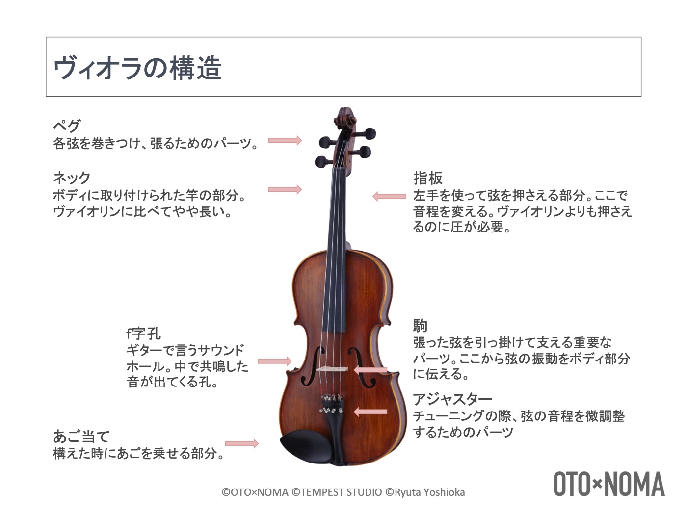 弦楽器の楽器法②：ヴィオラの構造、音域、特徴を理解しよう！ – OTO×NOMA