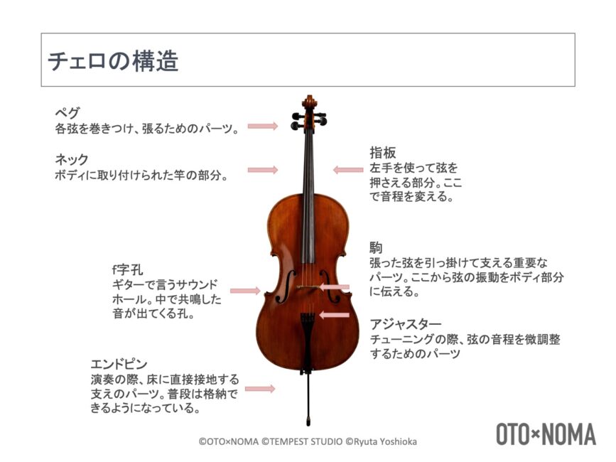 弦楽器の楽器法③：チェロの構造、音域、特徴を理解しよう！
