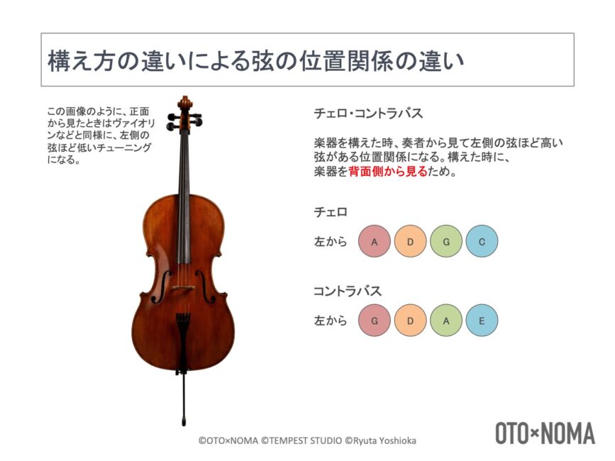 弦楽器の楽器法③：チェロの構造、音域、特徴を理解しよう！ – OTO×NOMA