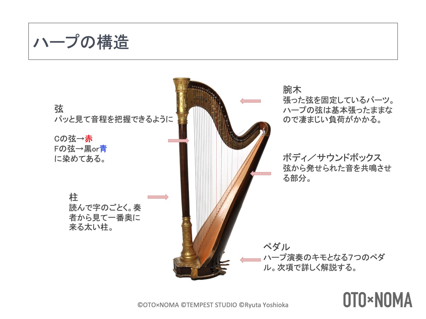 上品な ハープ アイリッシュハープ レバーハープ 26弦 カムスタイル ...