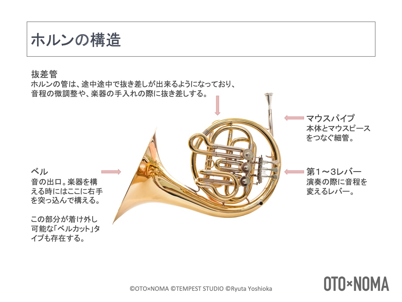 金管楽器の楽器法 ホルンの構造 音域 特徴を理解しよう Oto Noma