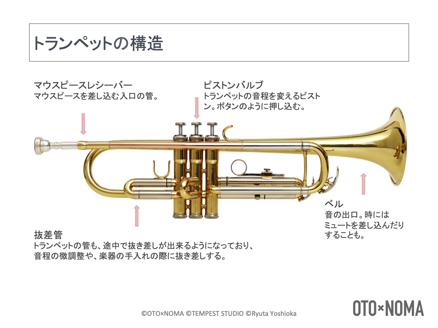 金管楽器の楽器法 トランペットの構造 音域 特徴を理解しよう Oto Noma