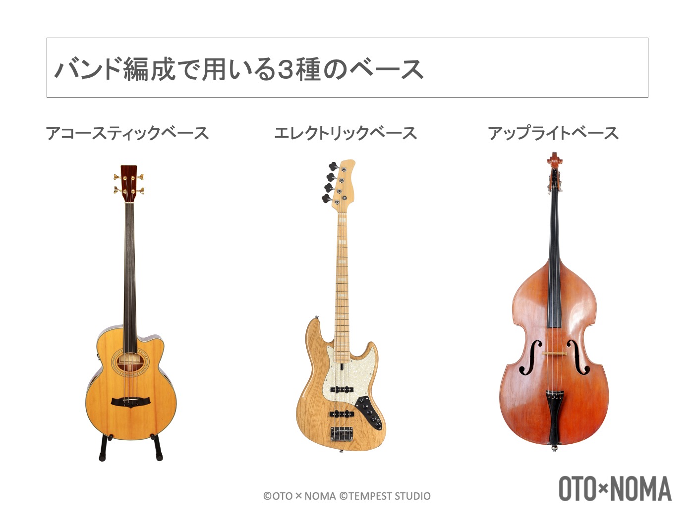 ベースの基礎知識②：バンド編成で使用するベースの種類とその構造を